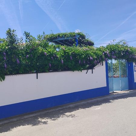 Casa Dos Avos Villa Monsaraz Dış mekan fotoğraf